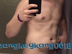 Dongkeykong0018