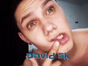 David_sk