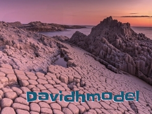 Davidhmodel