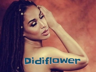 Didiflower