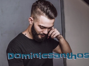 Dominicsanthos