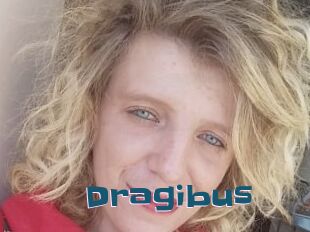 Dragibus