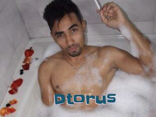 Dtorus