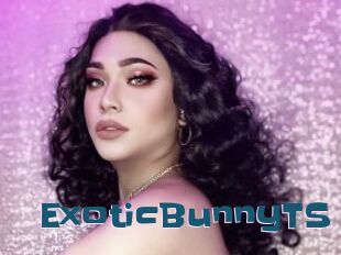 ExoticBunnyTS