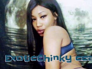 ExoticChinky_cca