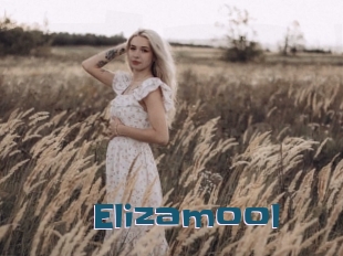 Elizamool