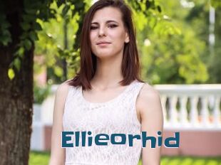 Ellieorhid