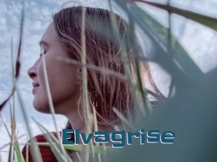 Elvagrise