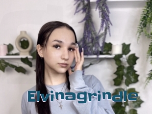 Elvinagrindle