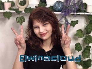 Elwinacloud