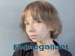 Elwinegallant