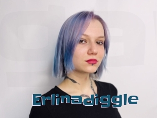 Erlinadiggle