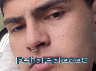 Felipleplazas