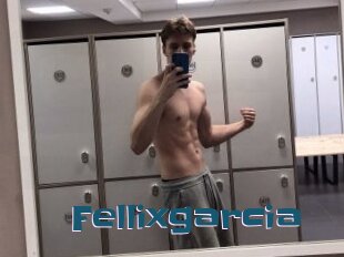 Fellixgarcia