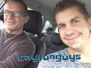 Gayfunguys