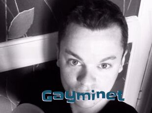 Gayminet