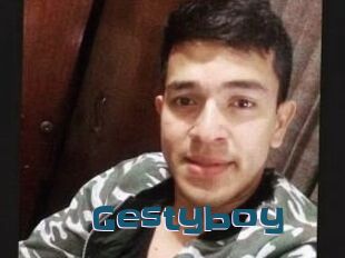 Gestyboy