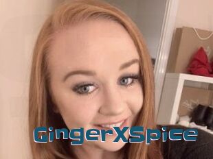 GingerXSpice