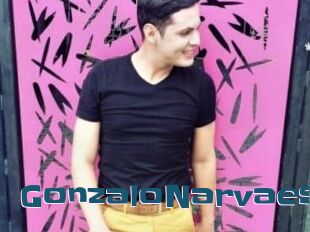 GonzaloNarvaes