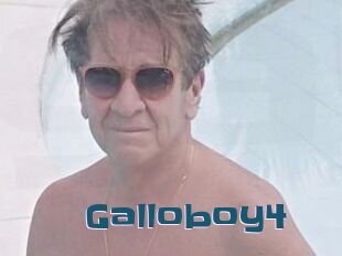 Galloboy4