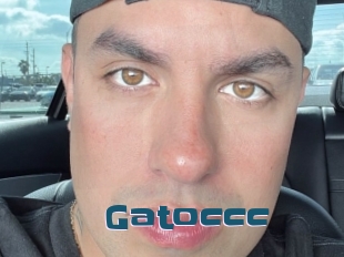 Gatoccc