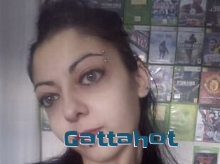 Gattahot