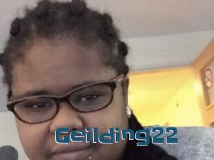 Geilding22