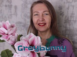 Greybunny