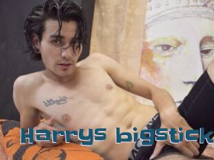 Harrys_bigstick