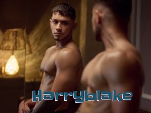 Harryblake