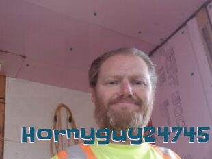 Hornyguy24745