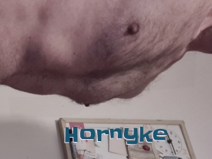 Hornyke