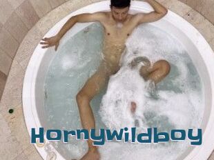 Hornywildboy