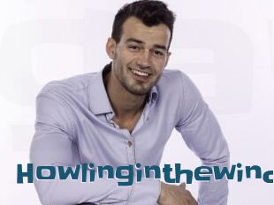 Howlinginthewind