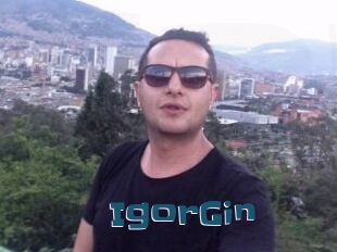 IgorGin