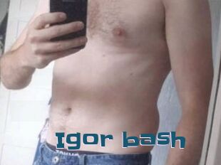 Igor_bash