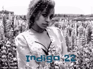 Indigo_22 Gang Bangs