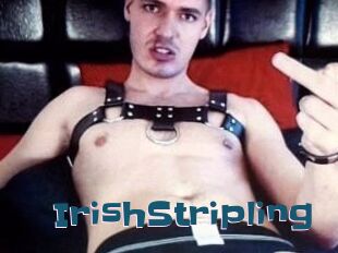 IrishStripling