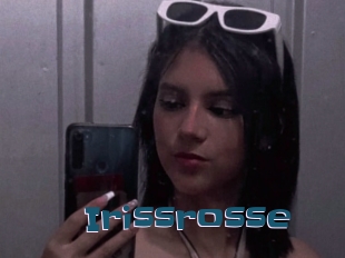 Irissrosse