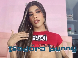 Isadora_bunny