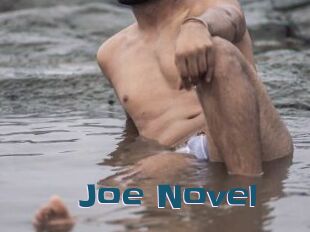 Joe_Novel