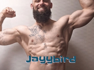 Jayybird