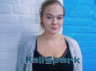 KaliSpark