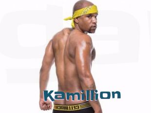 Kamillion