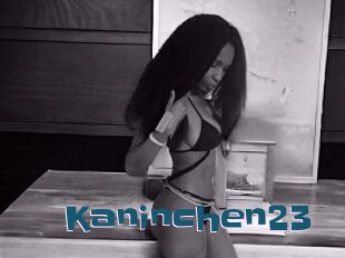 Kaninchen23