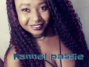 Kannel_passie