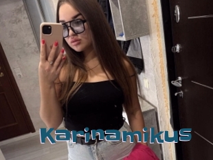 Karinamikus