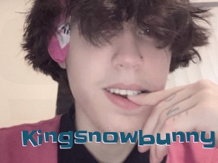 Kingsnowbunny