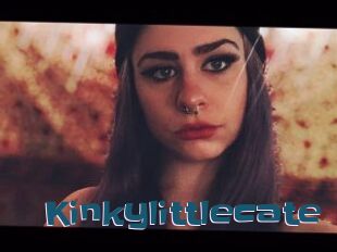 Kinkylittlecate