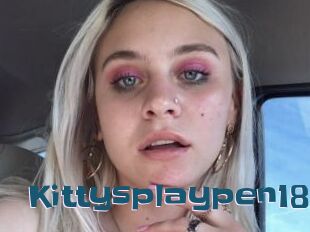 Kittysplaypen18